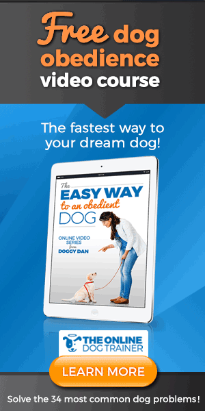 Free dog training video course - click here to watch now!