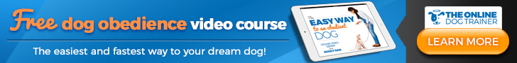 Free dog obedience video course - click here now!