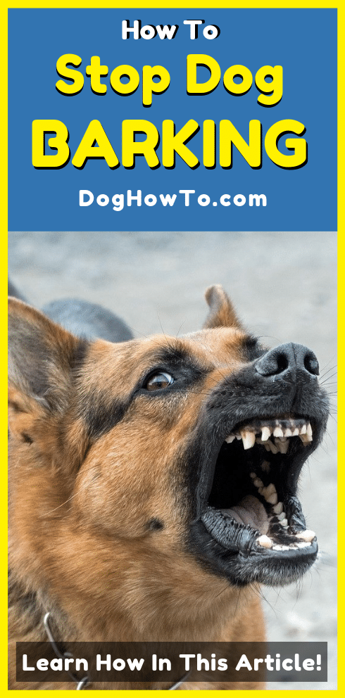 how to stop your dog from barking
