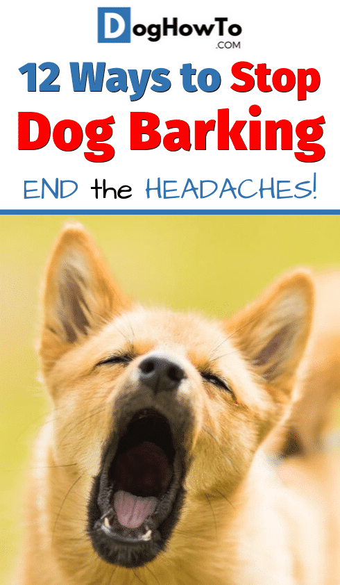 Stop dog barking tips. 12 proven and easy to train tips to get your dog to stop barking. Put an end to the frustration and stop your dog's unruly behavior for good by reading this article on how to stop your dog from barking!