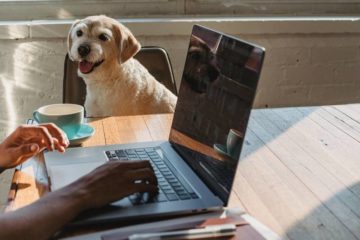 How to Stop Your Dog From Chewing on Your Laptop
