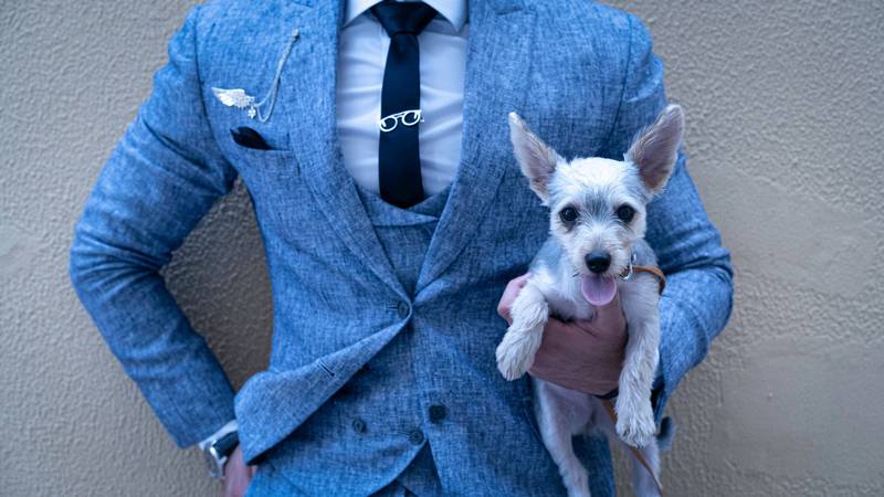 How to Stop Your Dog From Chewing on Your Suit Jacket