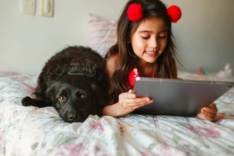 How to Stop Your Dog From Chewing on Your Tablet
