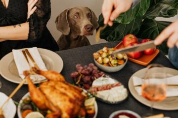 How to Stop Dog Barking at Thanksgiving