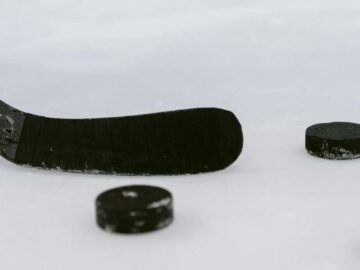 Are Hockey Pucks Safe for Dogs?