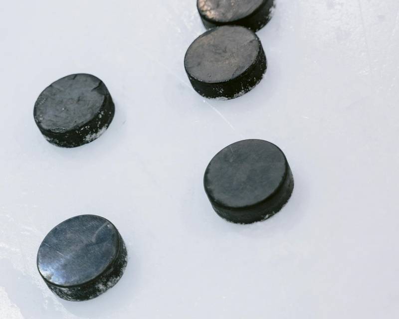 Can Dogs Chew on Hockey Pucks?